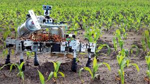 What is Precision Agriculture Robotics
