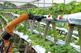 precision agriculture robotics